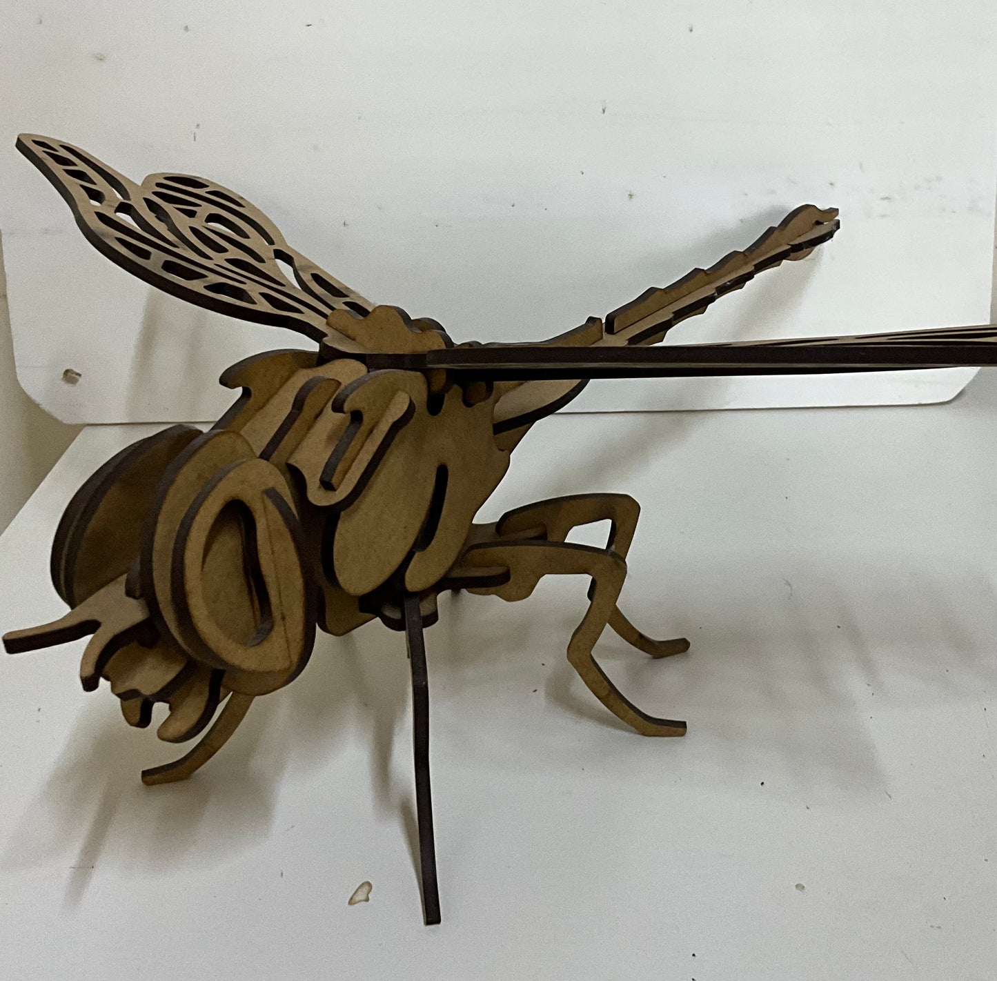 Dragonfly puzzle