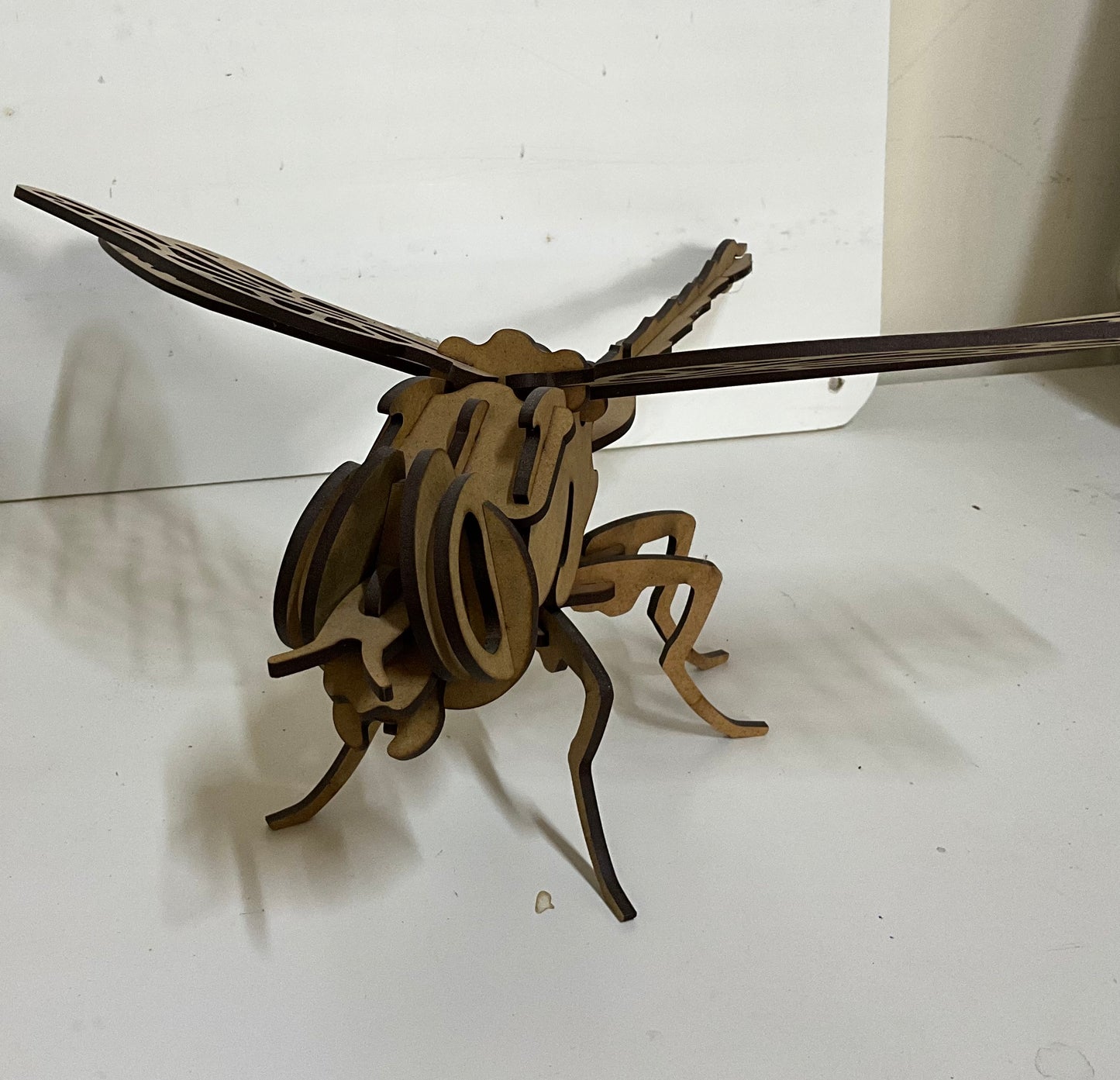 Dragonfly puzzle