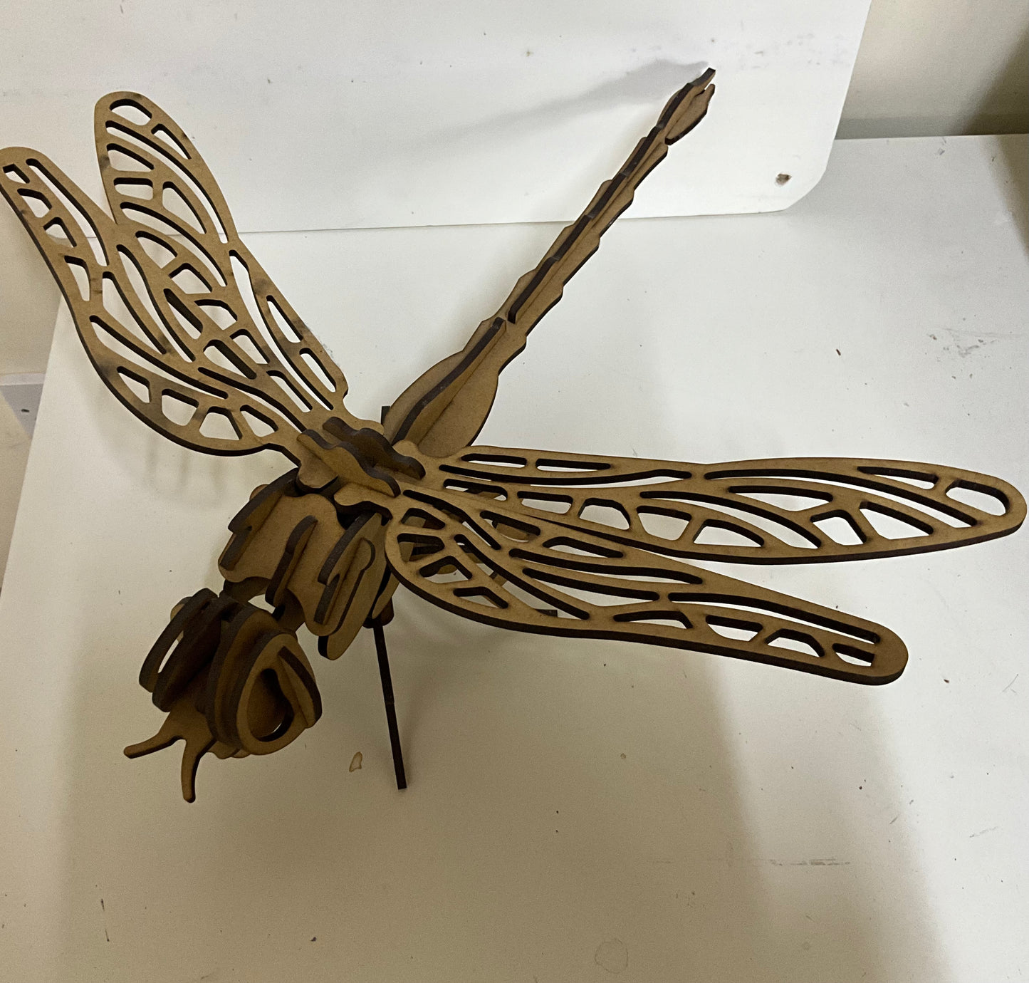 Dragonfly puzzle