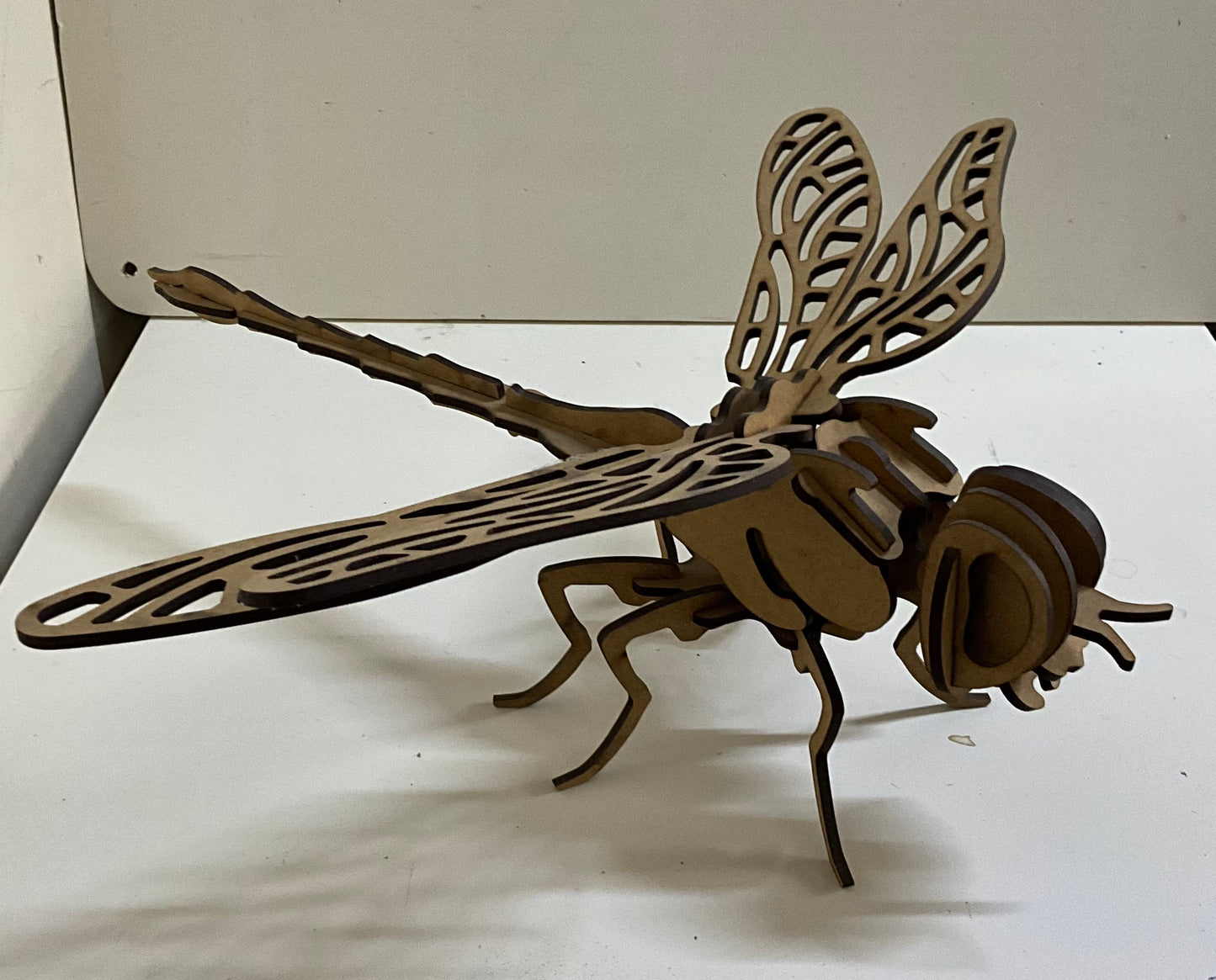 Dragonfly puzzle