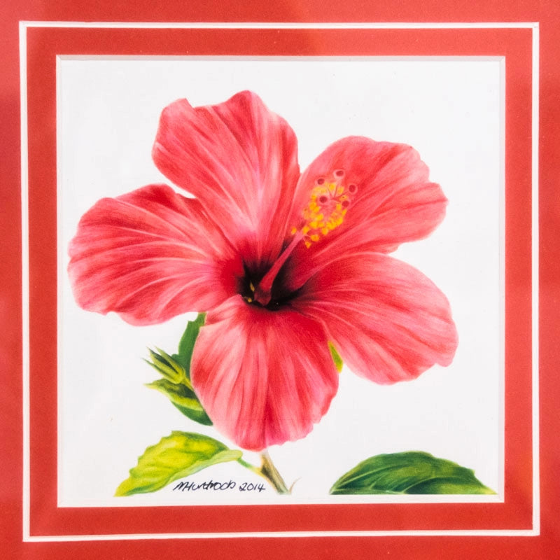 Framed hibiscus print