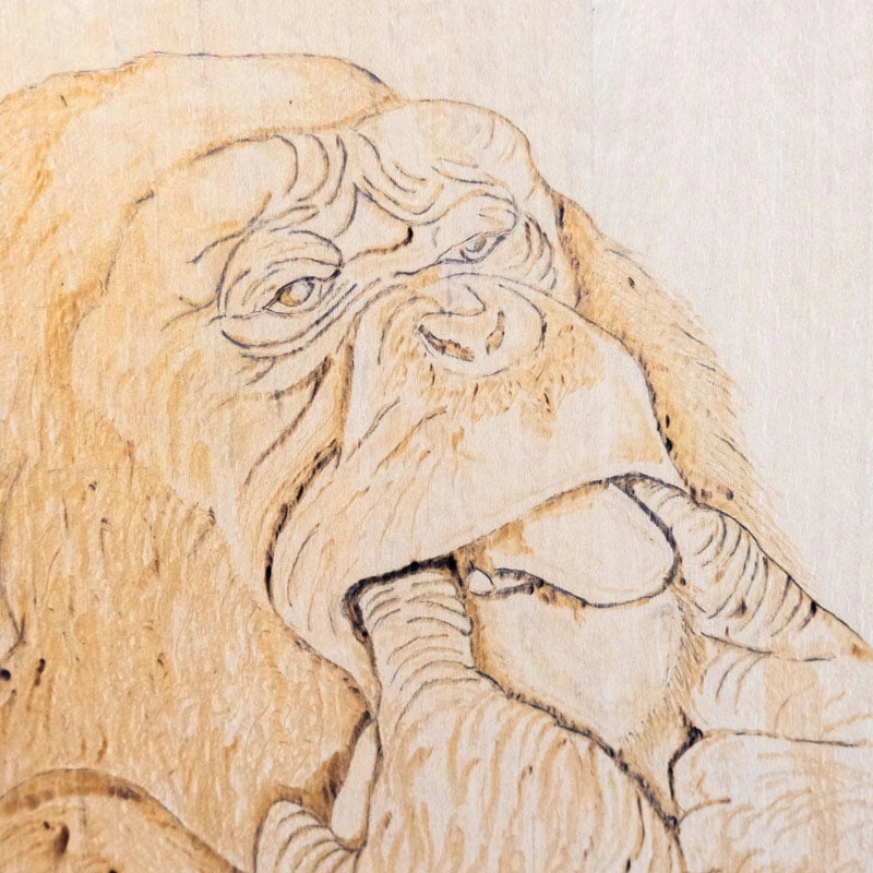 Chopping board cheeky monkey
