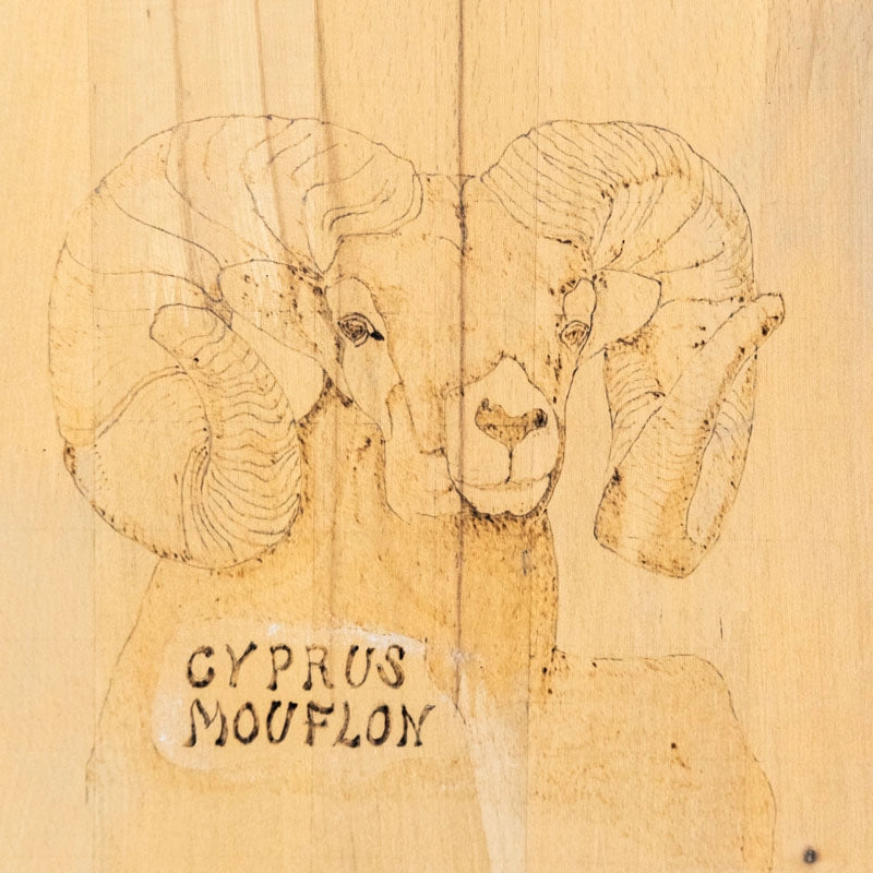 Chopping board mouflon