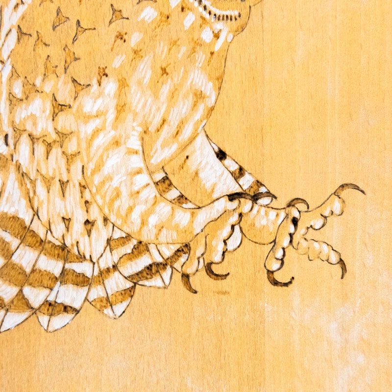 Chopping board owl landing