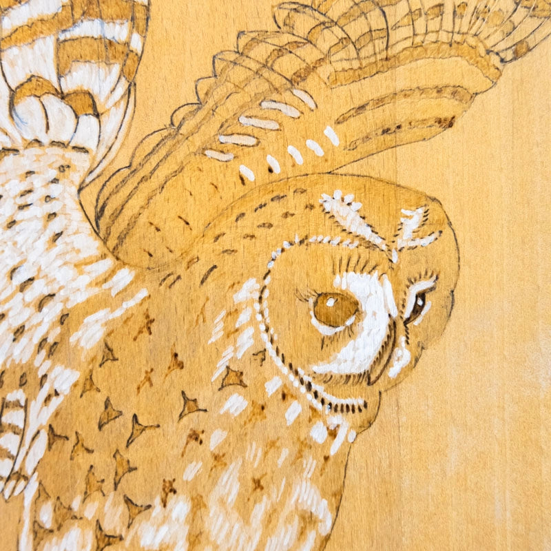 Chopping board owl landing