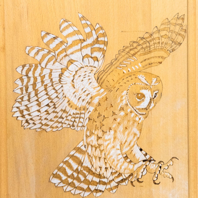 Chopping board owl landing