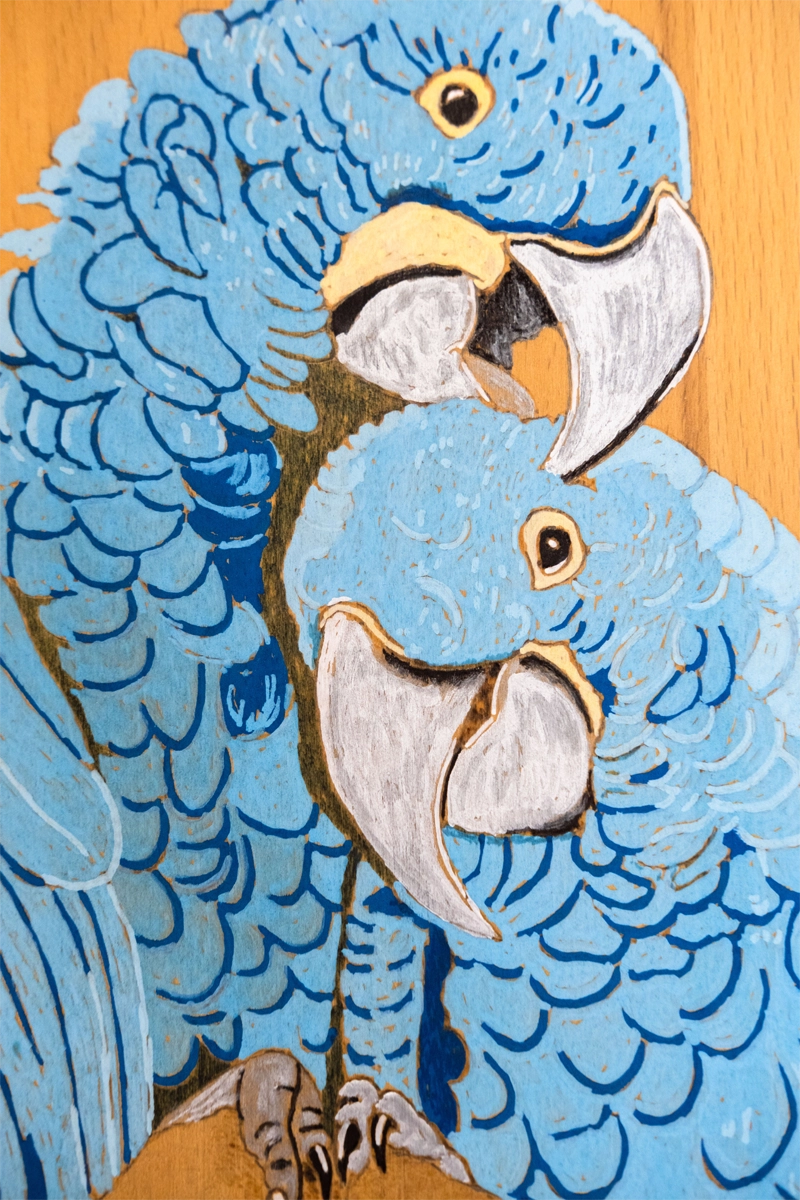 Chopping board, blue macaws