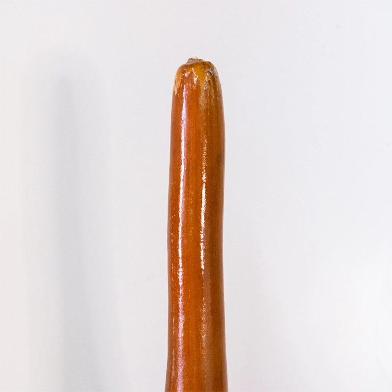 Gourd lamp Hummingbird