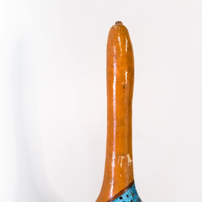 Gourd lamp, dragonflies