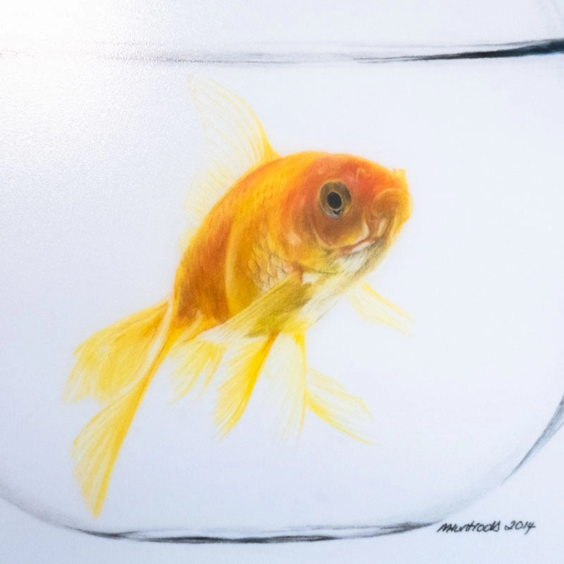 Just, keep swimming!