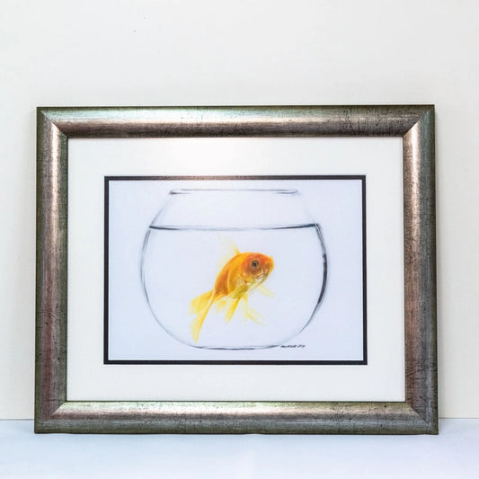 Original, coloured pencil portrait of a goldfish in a bowl, hand-drawn on Polydraw drafting film by Marie Huntrods.  Framed in beautiful bespoke frame with contrasting double mount/matt.  Comes with Certificate of Authenticity.