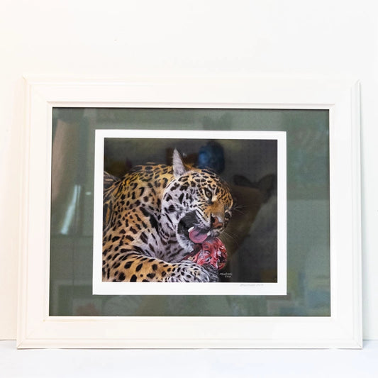 Framed, open-edition print made from original pastel drawing of “Jaguar” by Marie Huntrods (2014).  Mounted with complementary dark green mount/matt in a white frame.  Size 19”x15”