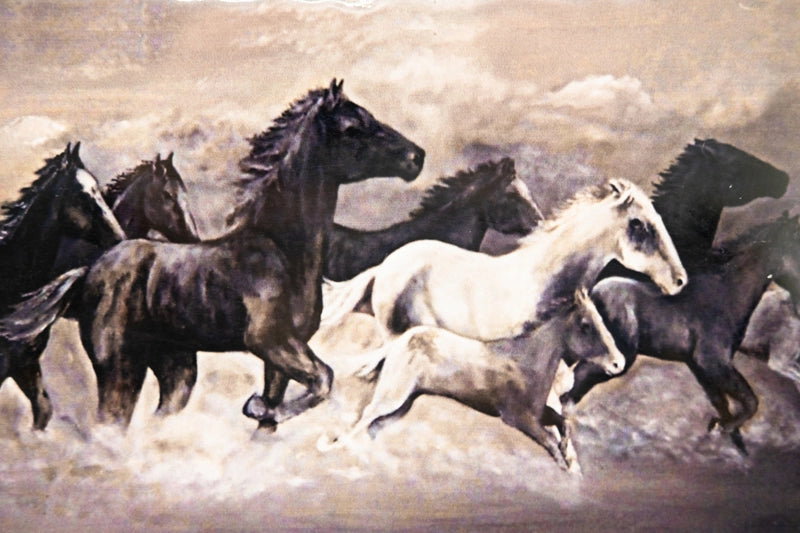 Horses in sand