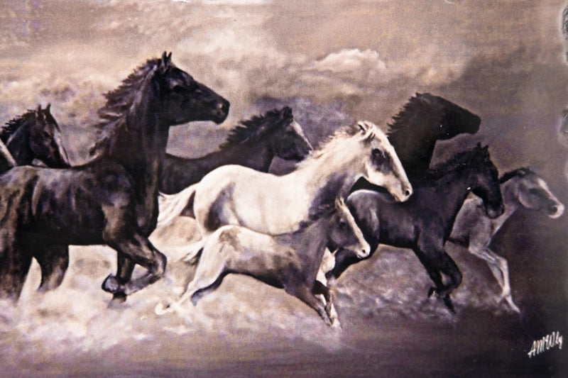 Horses in sand