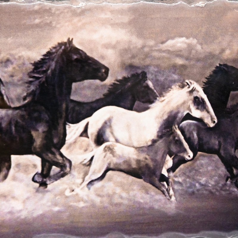 Horses in sand